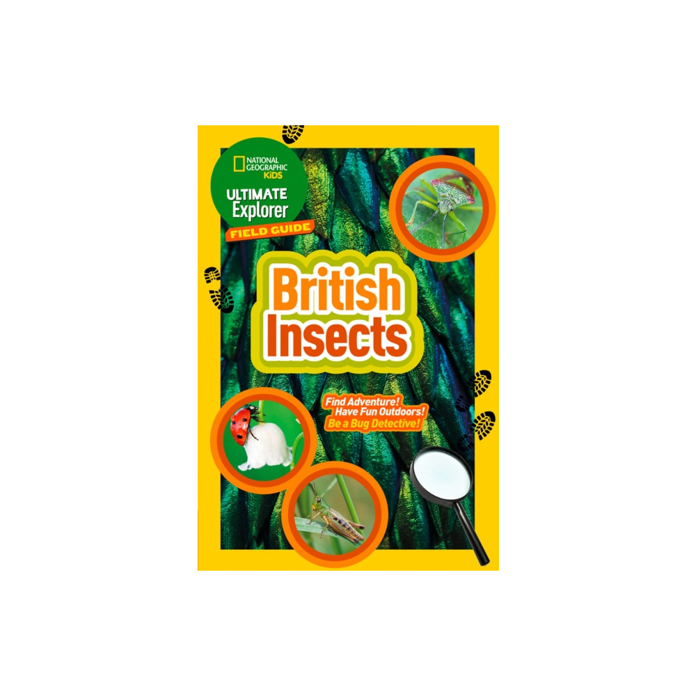 Produktbild för Ultimate Explorer Field Guides British Insects (häftad, eng)