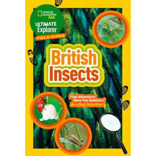 HarperCollins Publishers Ultimate Explorer Field Guides British Insects (häftad, eng)
