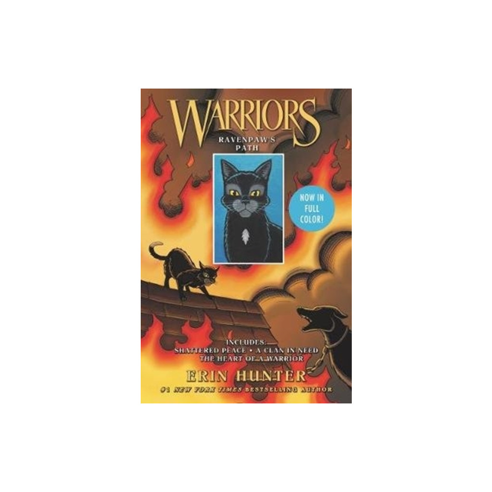Produktbild för Warriors: Ravenpaw's Path (häftad, eng)