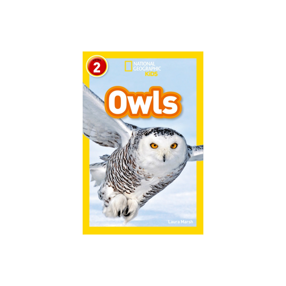 Produktbild för Owls (häftad, eng)