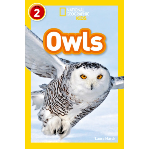 HarperCollins Publishers Owls (häftad, eng)