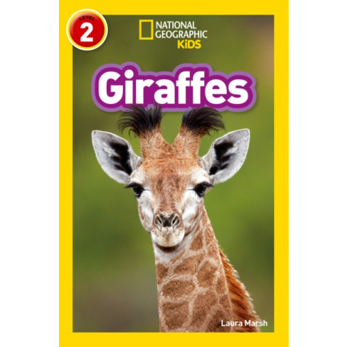 HarperCollins Publishers Giraffes (häftad, eng)