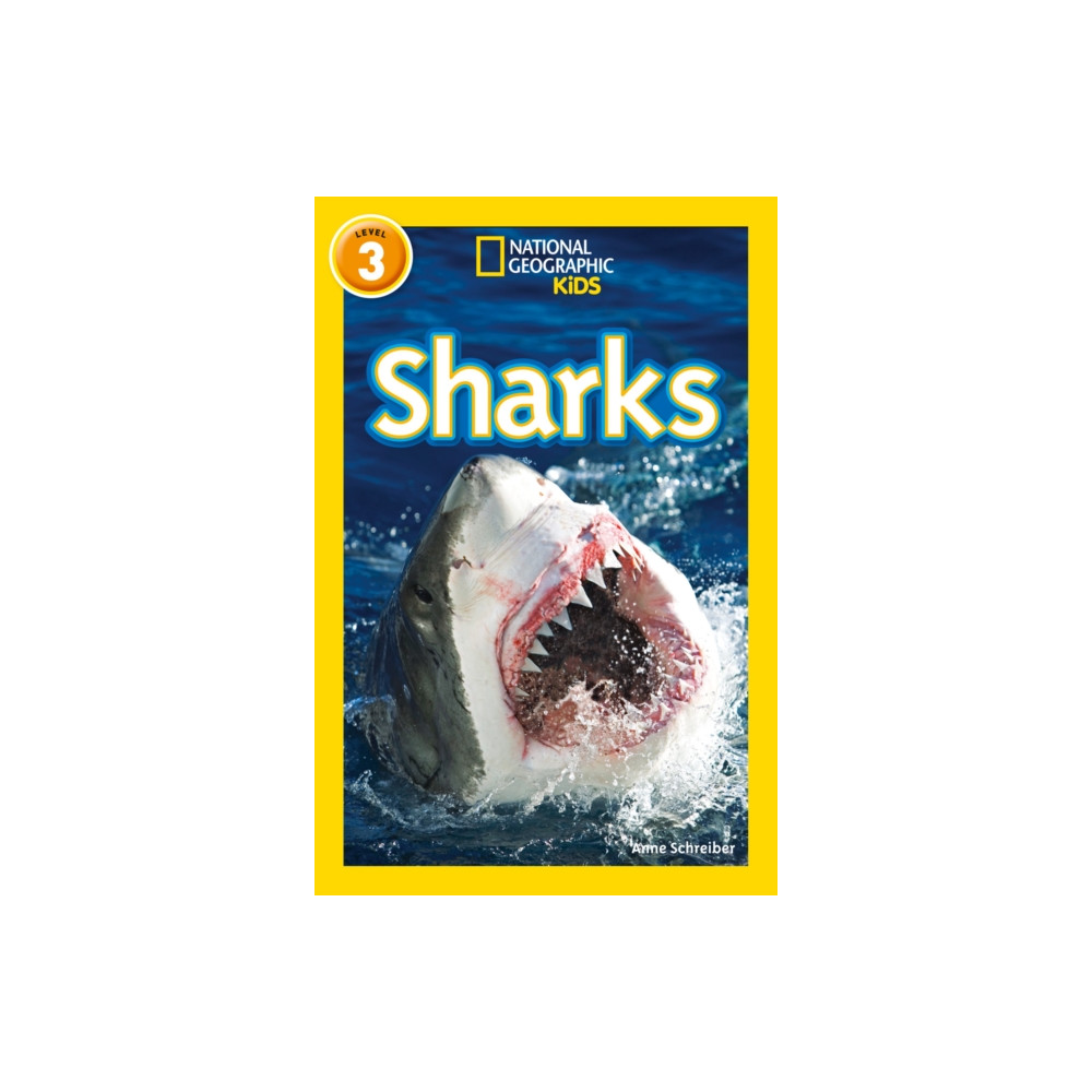 Produktbild för Sharks (häftad, eng)