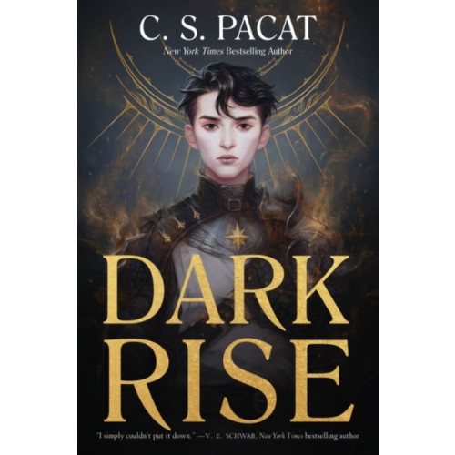 Harpercollins publishers inc Dark Rise (häftad, eng)