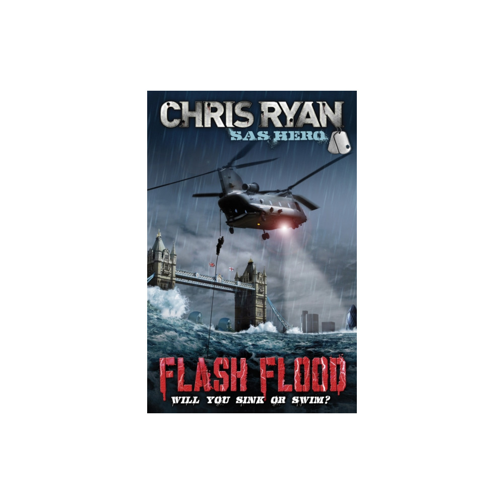 Produktbild för Flash Flood (häftad, eng)