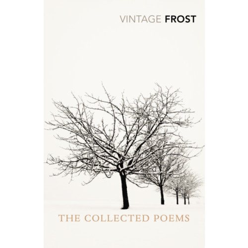 Vintage Publishing The Collected Poems (häftad, eng)