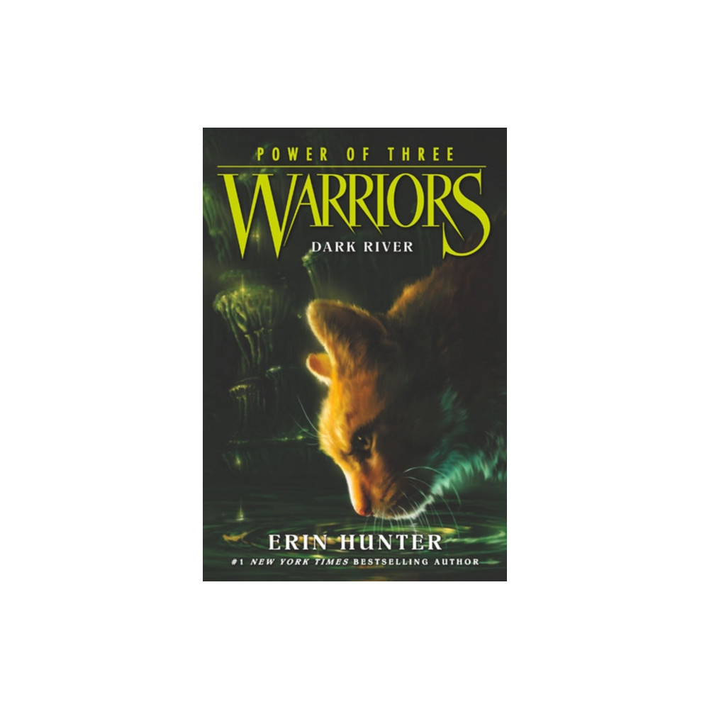 Produktbild för Warriors: Power of Three #2: Dark River (häftad, eng)