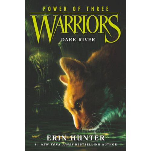 Harpercollins publishers inc Warriors: Power of Three #2: Dark River (häftad, eng)