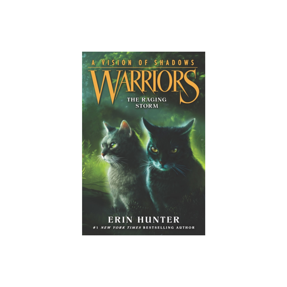 Produktbild för Warriors: A Vision of Shadows #6: The Raging Storm (häftad, eng)