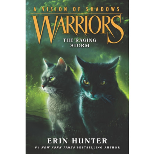 Harpercollins publishers inc Warriors: A Vision of Shadows #6: The Raging Storm (häftad, eng)