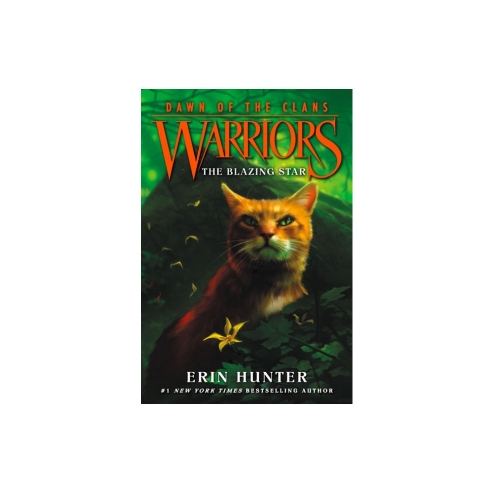 Produktbild för Warriors: Dawn of the Clans #4: The Blazing Star (häftad, eng)