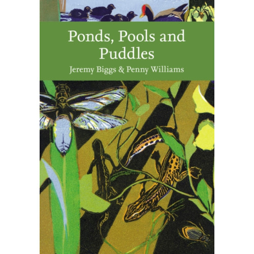 HarperCollins Publishers Ponds, Pools and Puddles (häftad, eng)