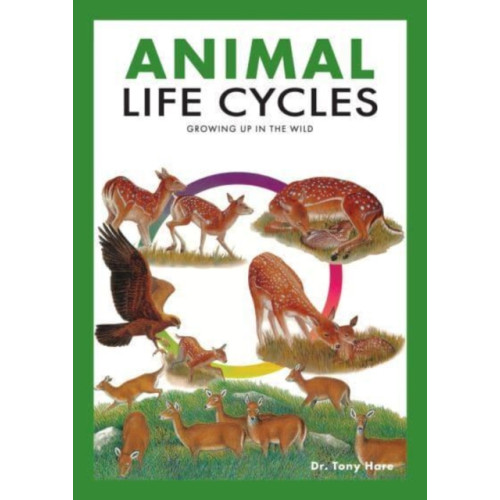 Marshall Cavendish International (Asia) Pte Ltd Animal Life Cycles (häftad, eng)