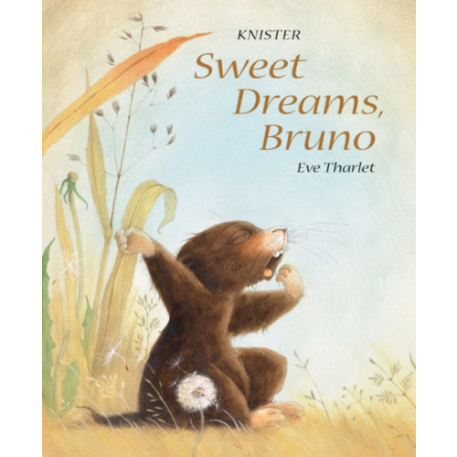 mineditionUS Sweet Dreams, Bruno (inbunden, eng)