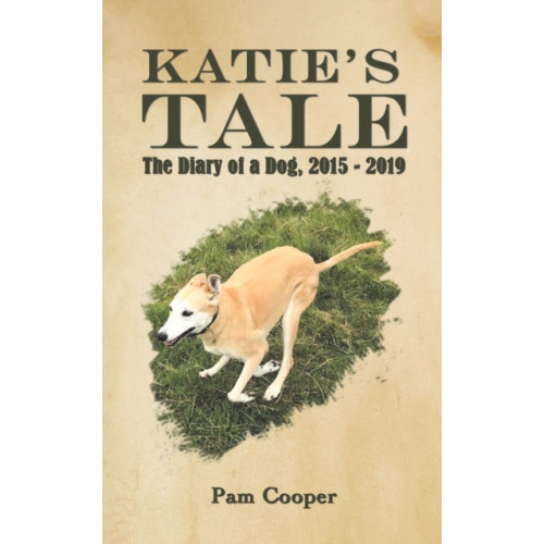 Austin Macauley Publishers Katie's Tale (häftad, eng)