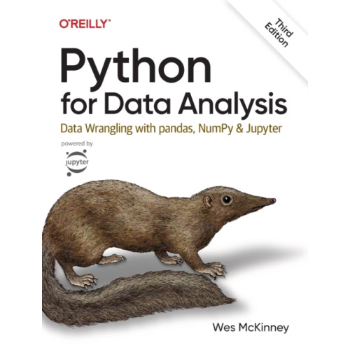 O'Reilly Media Python for Data Analysis 3e (häftad, eng)