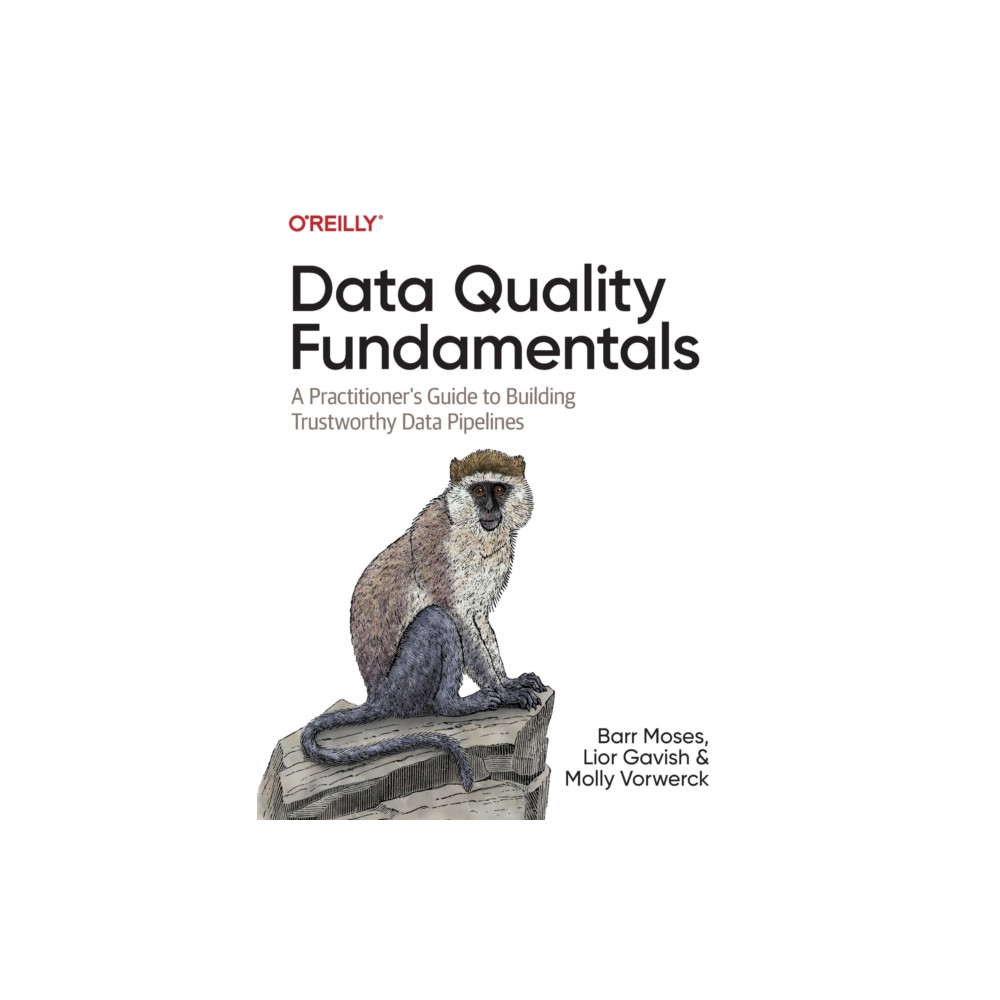 Produktbild för Data Quality Fundamentals (häftad, eng)