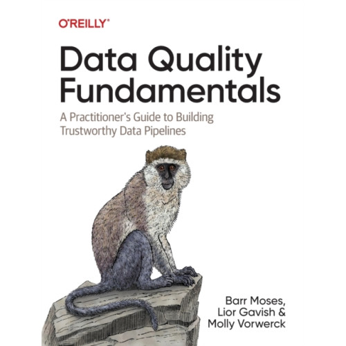 O'Reilly Media Data Quality Fundamentals (häftad, eng)
