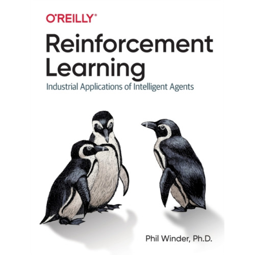 O'Reilly Media Reinforcement Learning (häftad, eng)