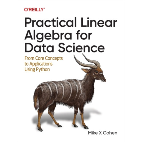 O'Reilly Media Practical Linear Algebra for Data Science (häftad, eng)