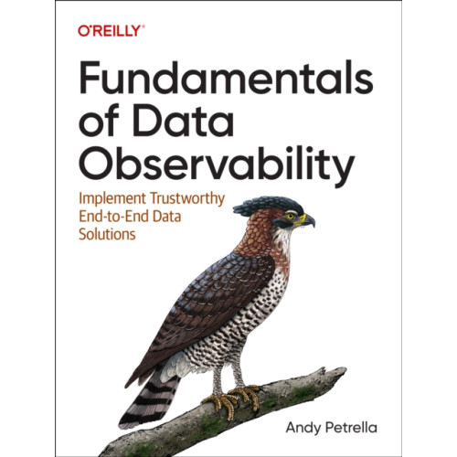 O'Reilly Media Fundamentals of Data Observability (häftad, eng)