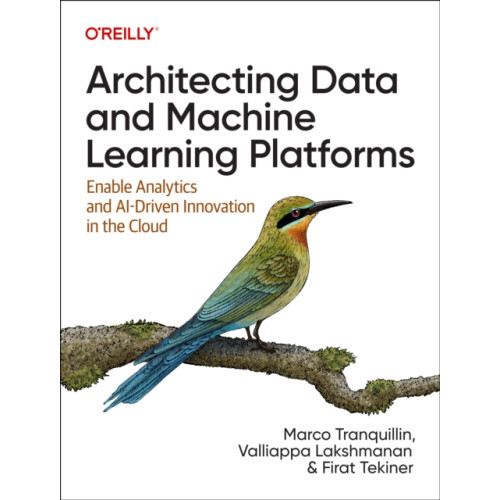 O'Reilly Media Architecting Data and Machine Learning Platforms (häftad, eng)