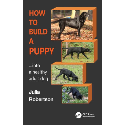 Taylor & francis ltd How to Build a Puppy (häftad, eng)