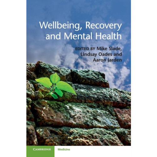 Cambridge University Press Wellbeing, Recovery and Mental Health (häftad, eng)