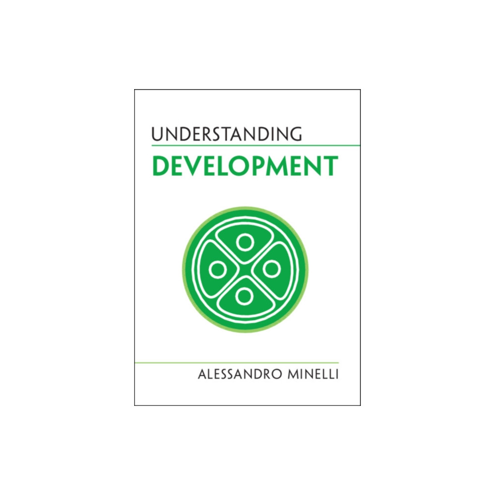 Produktbild för Understanding Development (häftad, eng)