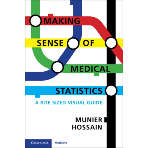 Cambridge University Press Making Sense of Medical Statistics (häftad, eng)