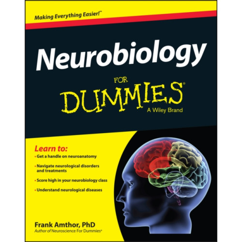 John Wiley & Sons Inc Neurobiology For Dummies (häftad, eng)