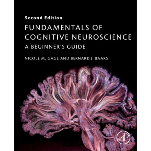 Elsevier Science Publishing Co Inc Fundamentals of Cognitive Neuroscience (häftad, eng)