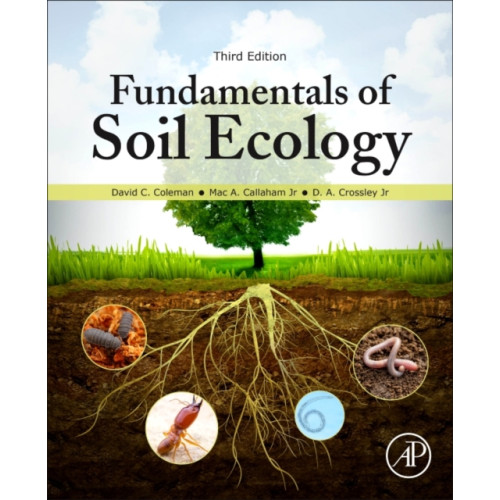 Elsevier Science Publishing Co Inc Fundamentals of Soil Ecology (häftad, eng)