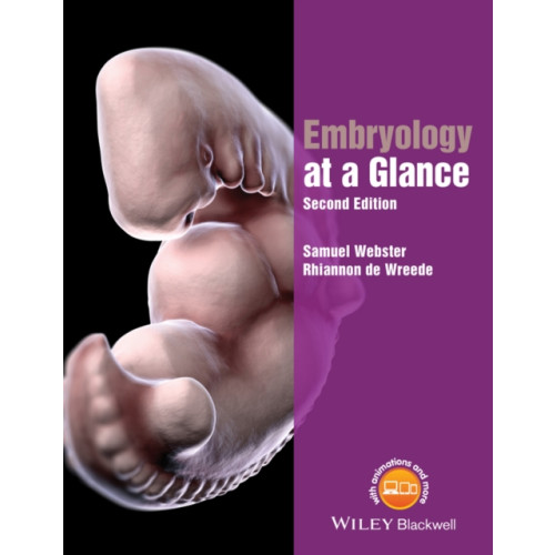 John Wiley And Sons Ltd Embryology at a Glance (häftad, eng)