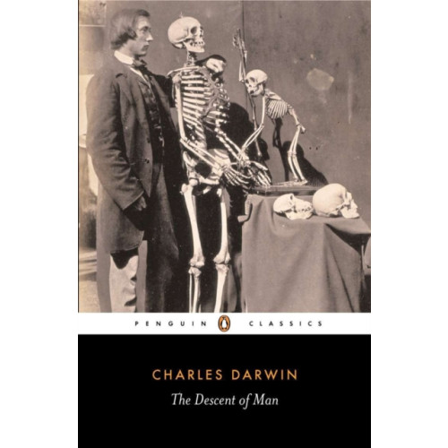 Penguin books ltd The Descent of Man (häftad, eng)