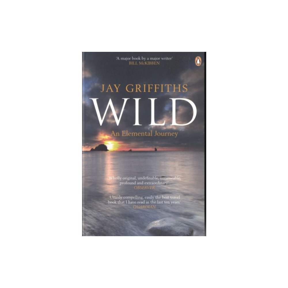 Produktbild för Wild (häftad, eng)