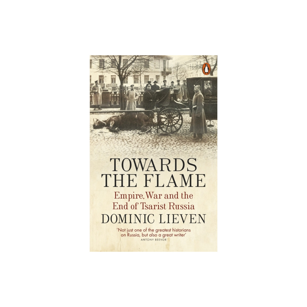 Produktbild för Towards the Flame (häftad, eng)