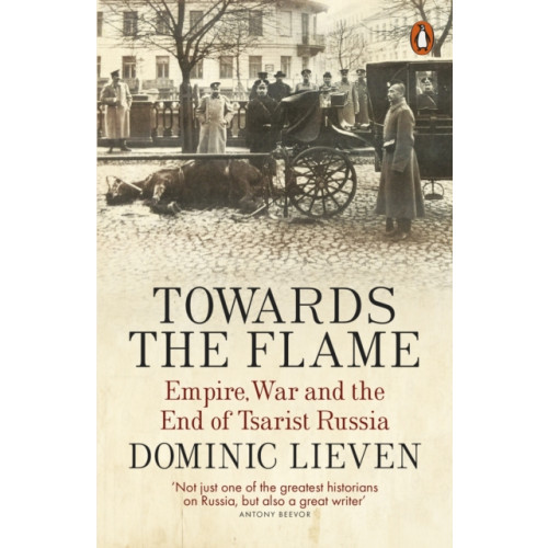 Penguin books ltd Towards the Flame (häftad, eng)