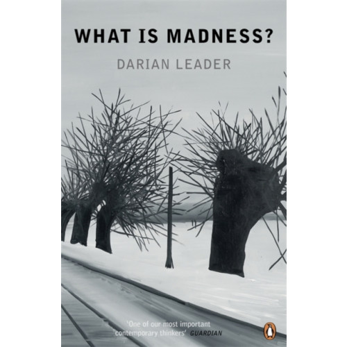 Penguin books ltd What is Madness? (häftad, eng)