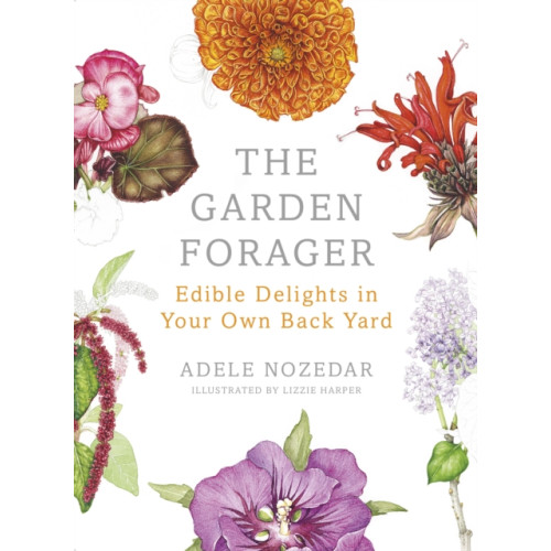 Vintage Publishing The Garden Forager (inbunden, eng)