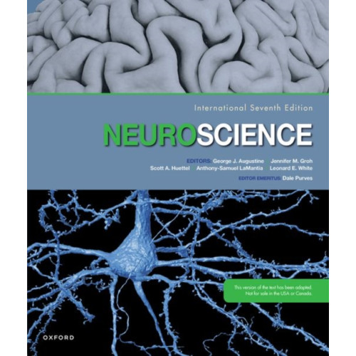 Oxford University Press Inc Neuroscience (häftad, eng)