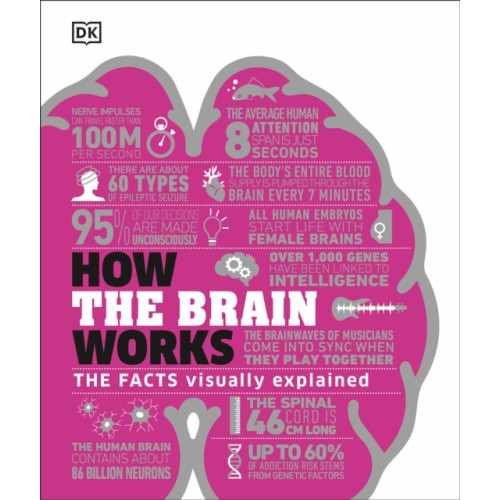 Dorling Kindersley Ltd How the Brain Works (inbunden, eng)