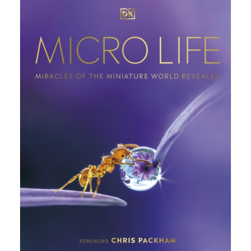 Dorling Kindersley Ltd Micro Life (inbunden, eng)
