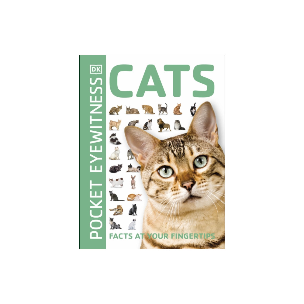 Produktbild för Cats (häftad, eng)
