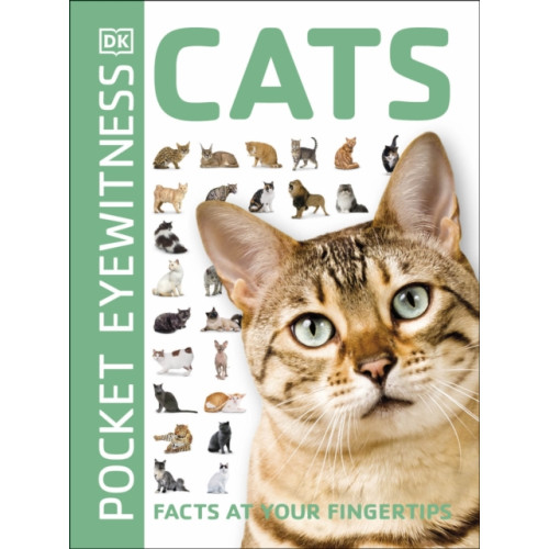 Dorling Kindersley Ltd Cats (häftad, eng)