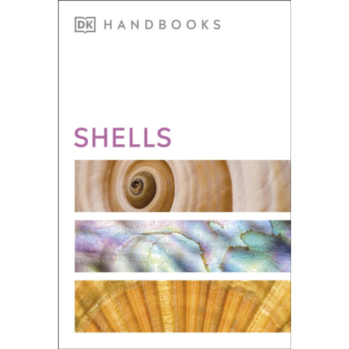 Dorling Kindersley Ltd Shells (häftad, eng)