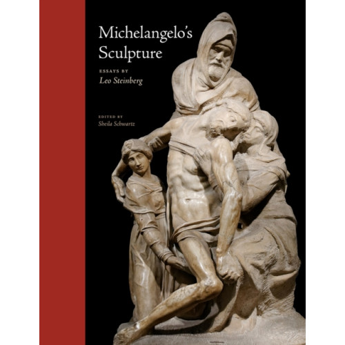 The university of chicago press Michelangelo's Sculpture (inbunden, eng)