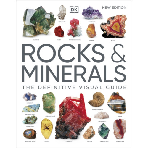 Dorling Kindersley Ltd Rocks & Minerals (häftad, eng)