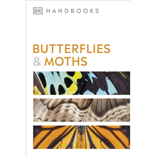 Dorling Kindersley Ltd Butterflies and Moths (häftad, eng)
