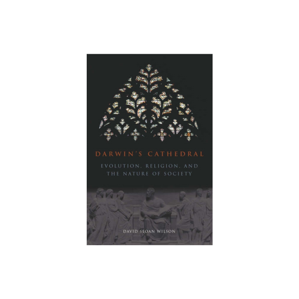 Produktbild för Darwin`s Cathedral – Evolution, Religion, and the Nature of Society (häftad, eng)